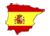 ARAUCARIA - Espanol